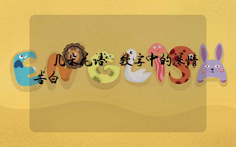 几朵花语:数字中的深情告白